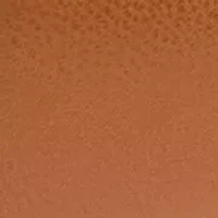 Straw and Rectangle 2 for 1 Belt 25MM