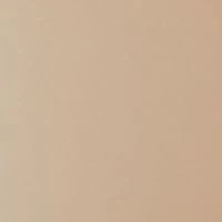 Twisted Buckle Pant Belt