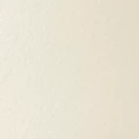 Enamel Buckle & Twisted 2 for 1 Belts