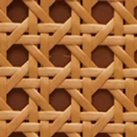 Caning Medium Tote 