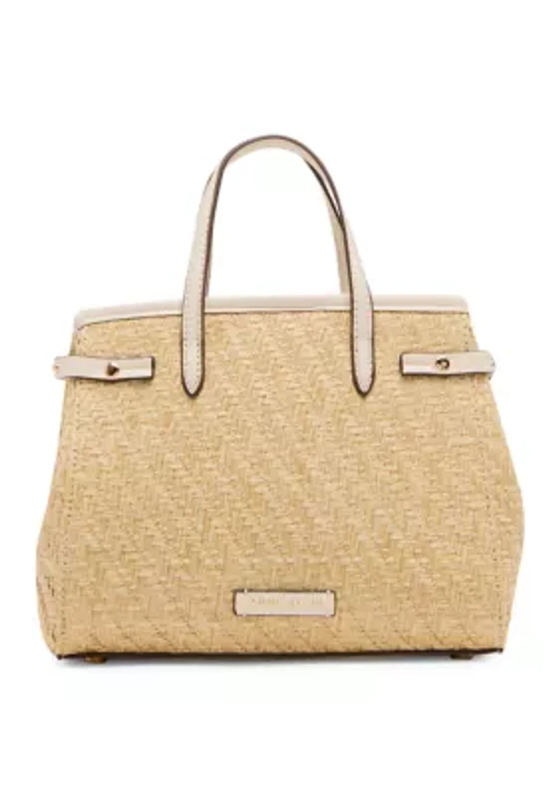Straw Satchel Bag