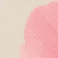 Medium Bi Fold Wallet