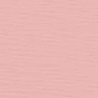 Valentine's Day Card Case