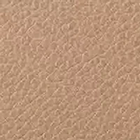 Magdalina Mini Satchel Crossbody