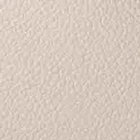 Nine West Mary satchel