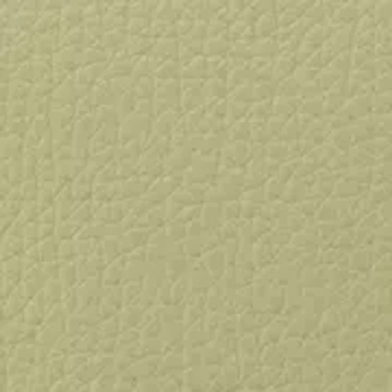 Haigan Flap Shoulder Bag