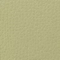 Haigan Flap Shoulder Bag