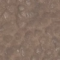 Nora Knotted Small Wallet