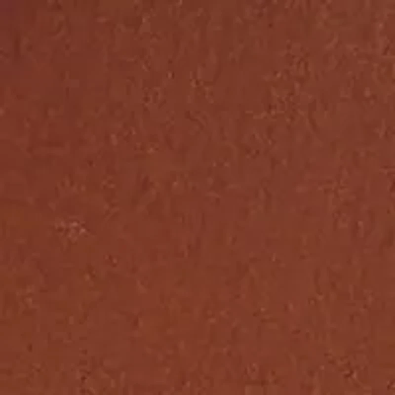 30 Millimeter Western Belt with Eyelets