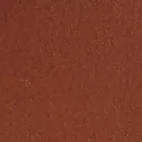 30 Millimeter Western Belt with Eyelets