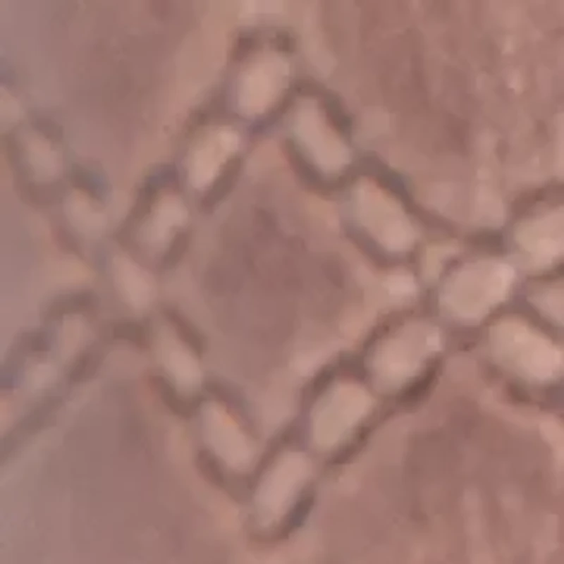 30 Millimeter Belt with Western Embossing