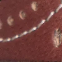 30 Millimeter Belt with Embroidered Perforated Rivots
