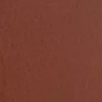 25 Millimeter Belt