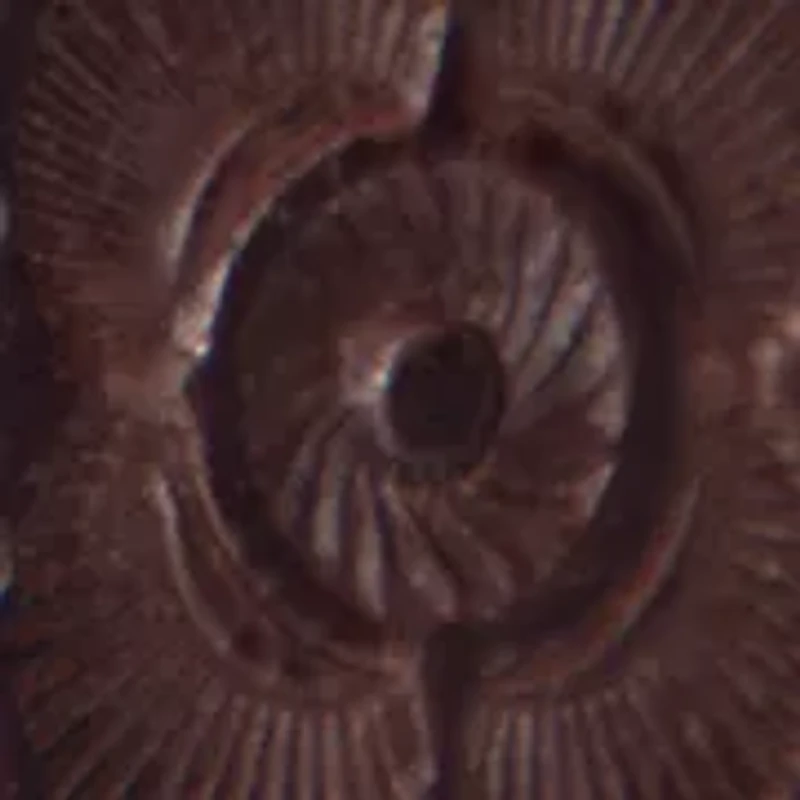 20mm Tooling Stud Belt