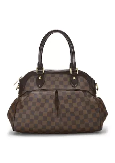   Louis Vuitton Damier Ebene Trevi PM  - FINAL SALE, NO RETURNS