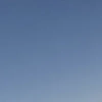 Bree Sunglasses