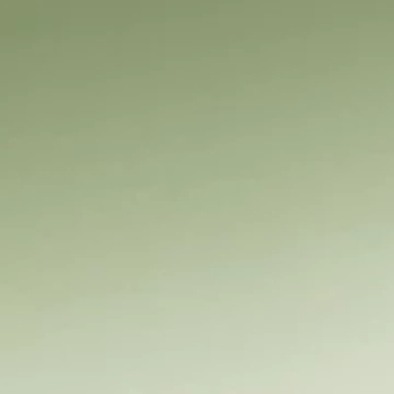 Sandra Matcha Sunglasses