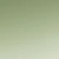 Sandra Matcha Sunglasses