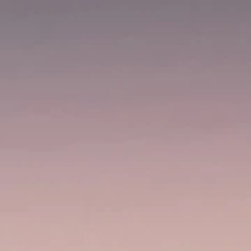 Imani Sunglasses