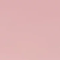 Kinsley Sunglasses 