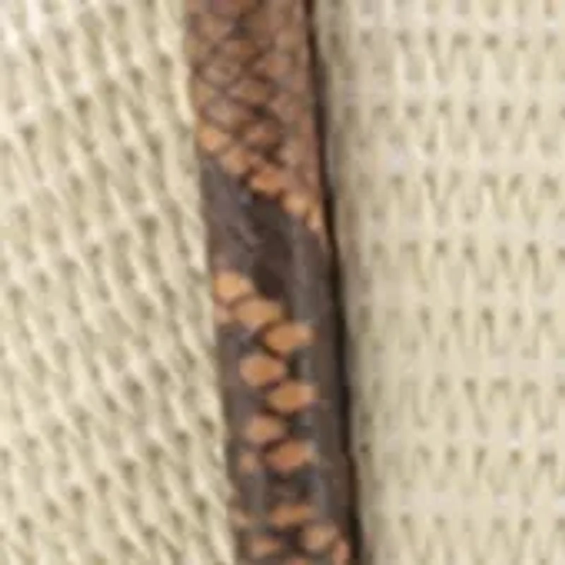 Straw Tote with Snake Trim