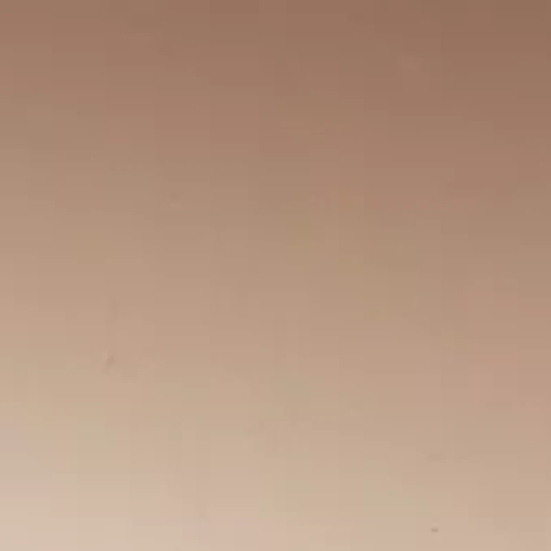 Large Plastic Square Sunglasses