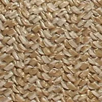 Straw Bucket Crossbody