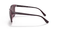 VO5426S Polarized Sunglasses