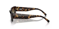 VO5440S  Polarized Sunglasses
