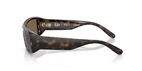 VO5442S  Sunglasses