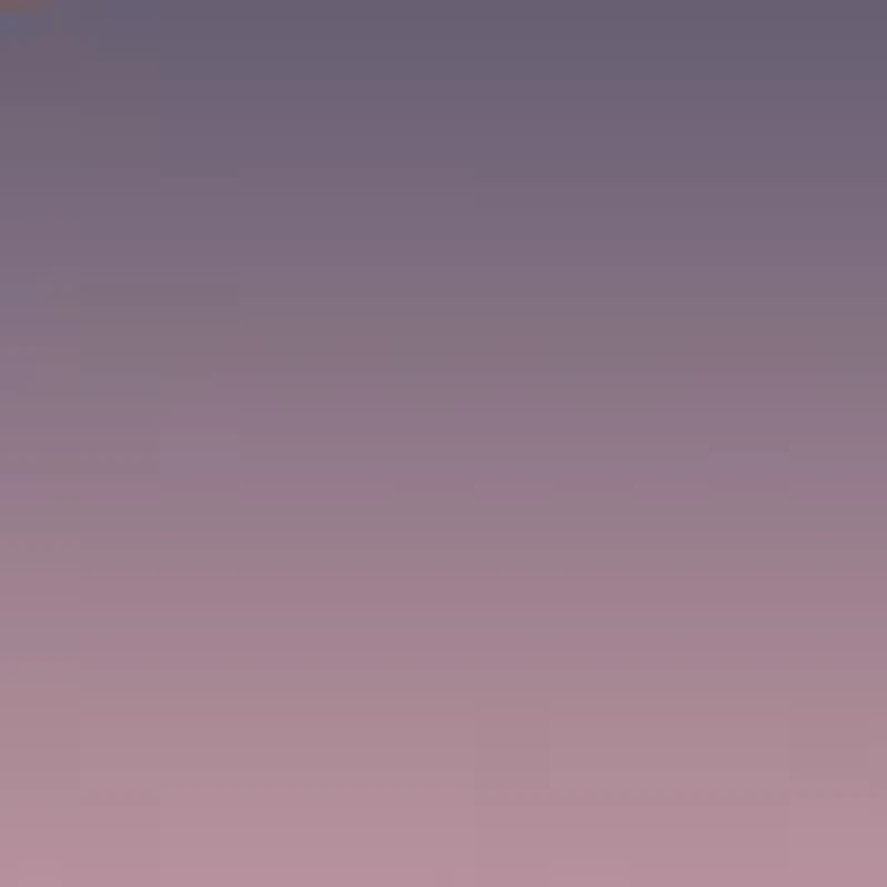 VE2244 Sunglasses