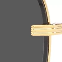 VE2243 Sunglasses
