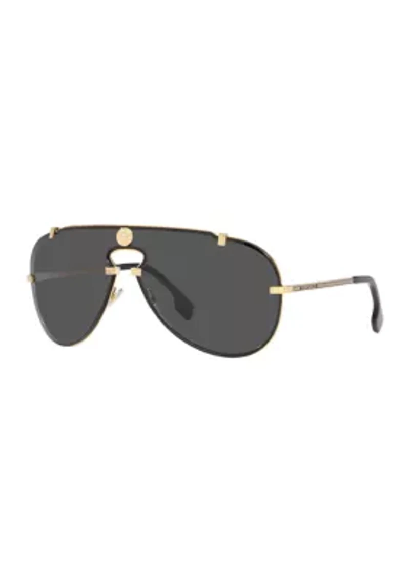VE2243 Sunglasses
