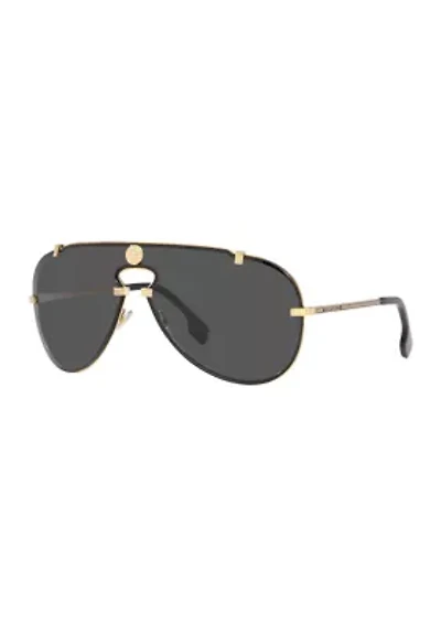 VE2243 Sunglasses