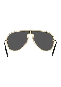 VE2243 Sunglasses