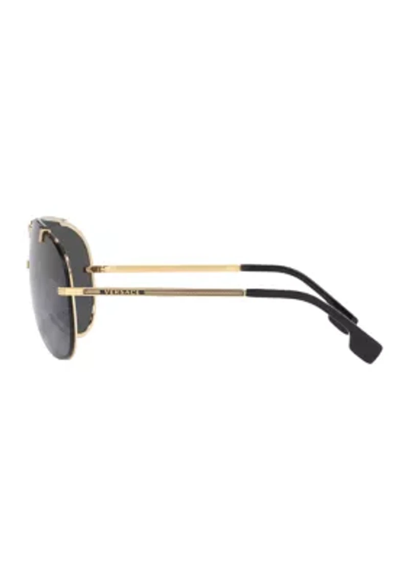 VE2243 Sunglasses