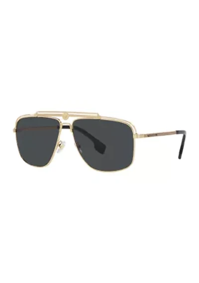 VE2242 Sunglasses