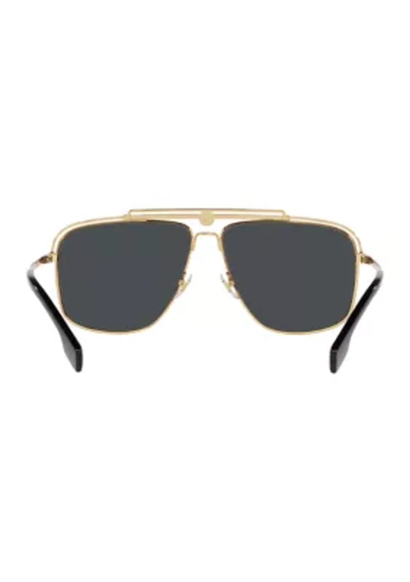 VE2242 Sunglasses