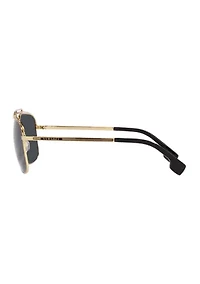 VE2242 Sunglasses
