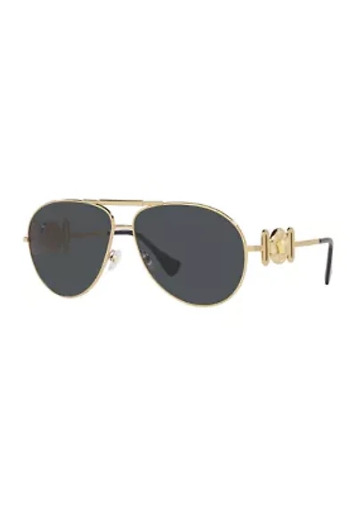 VE2249 Sunglasses