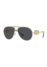 VE2249 Sunglasses