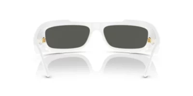 VE4446 Sunglasses