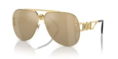VE2255 Sunglasses