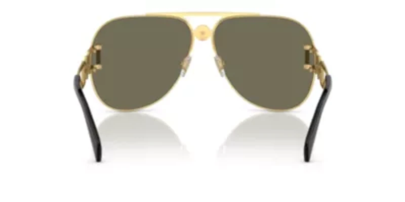 VE2255 Sunglasses