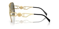 VE2255 Sunglasses
