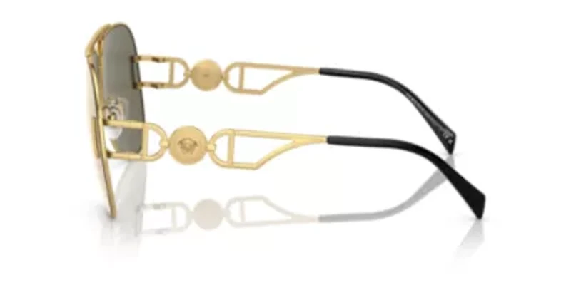 VE2255 Sunglasses