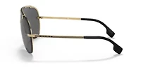 VE2243 Sunglasses