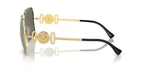VE2248 Sunglasses