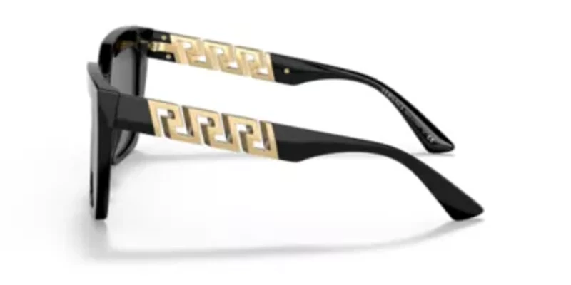 VE4418 Sunglasses