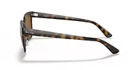 RB4323 Polarized Sunglasses